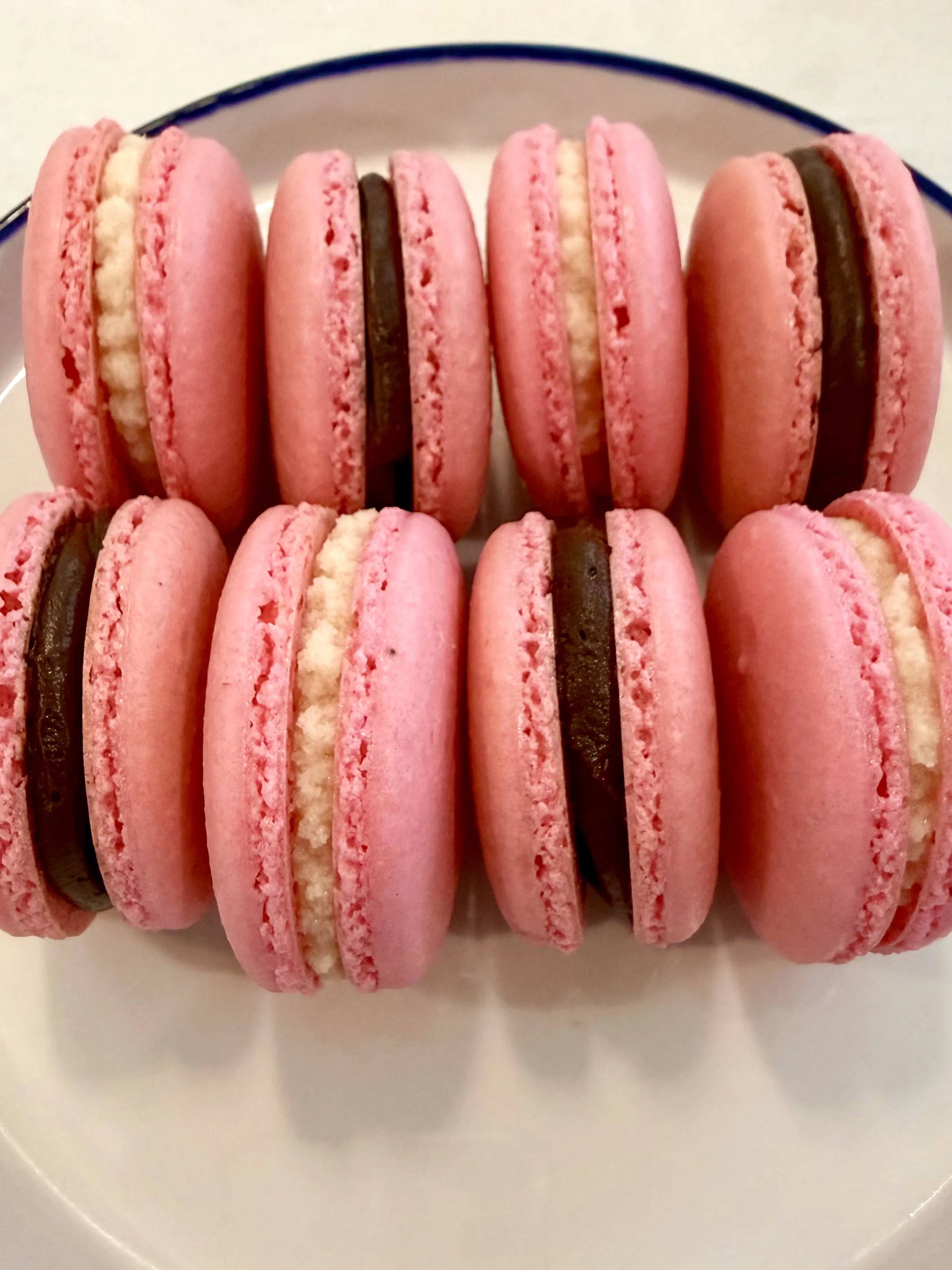 Navya's macarons